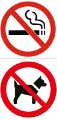 FumeurChien